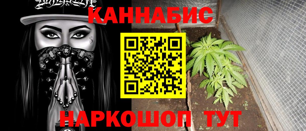 Бошки марихуана семена  Вход с VPN  МАРИХУАНА марихуана  Вичуга  МАРИХУАНА THC 21%  Бошки марихуана Bruce Banner 